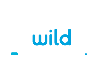 Logo of Wild Tornado casino